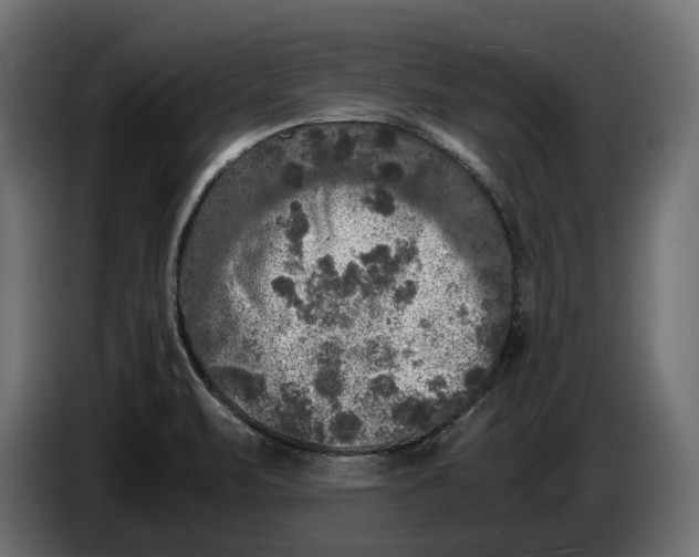 X0000086011471200704131817