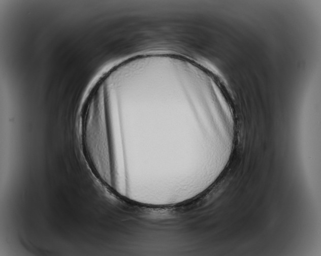 X0000086011472200704131817
