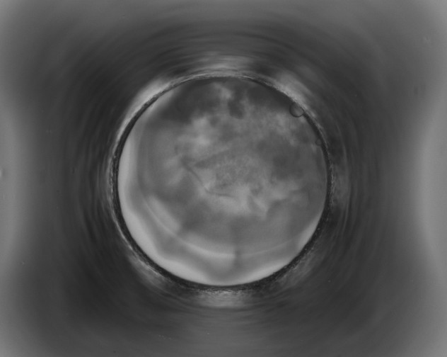 X0000086011474200704131817