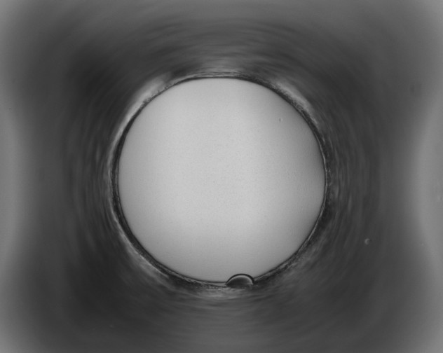X0000086011475200704131817