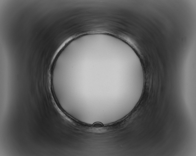 X0000086011476200704131817