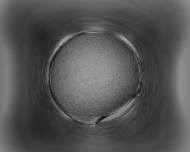 X0000086011477200704131817