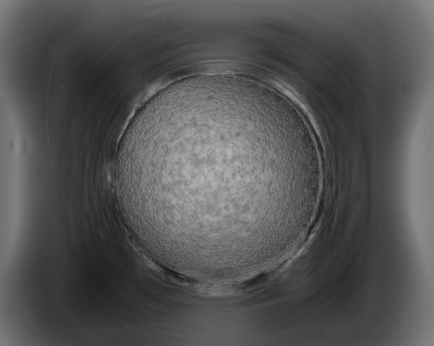 X0000086011481200704131816