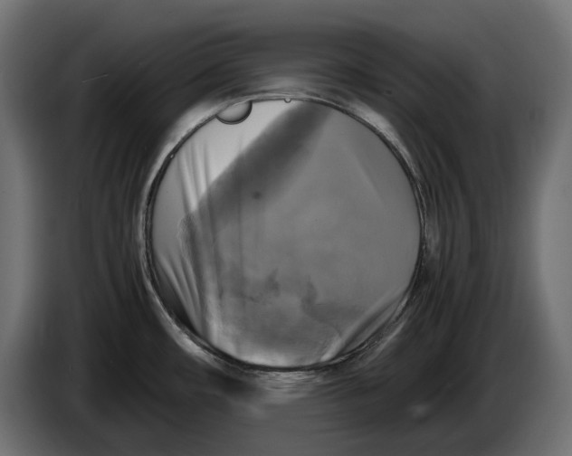X0000086011482200704131816