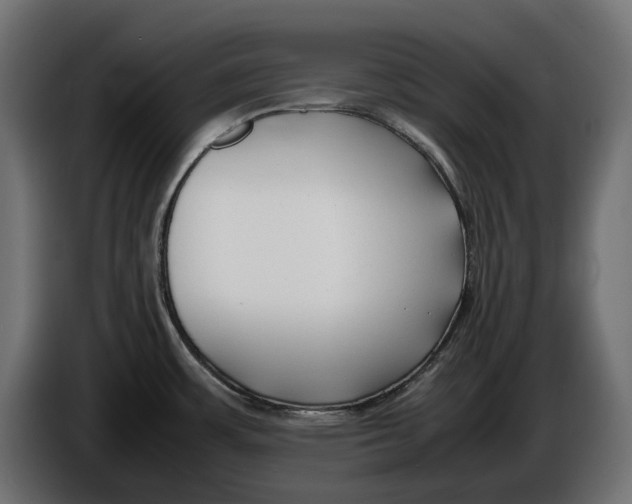 X0000086011483200704131816