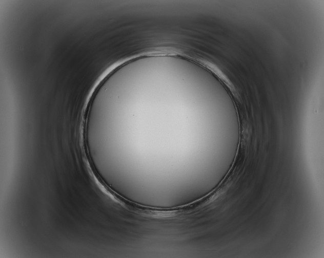 X0000086011484200704131816