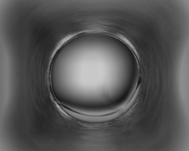 X0000086011485200704131816