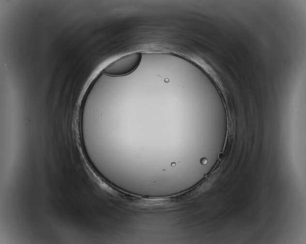 X0000086011486200704131816