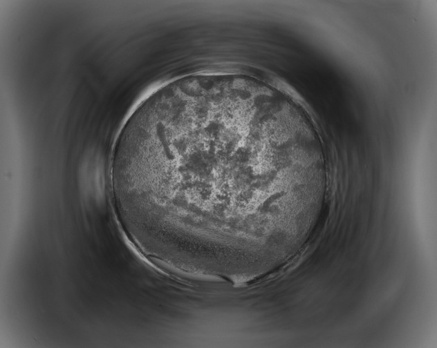 X0000086011487200704131816