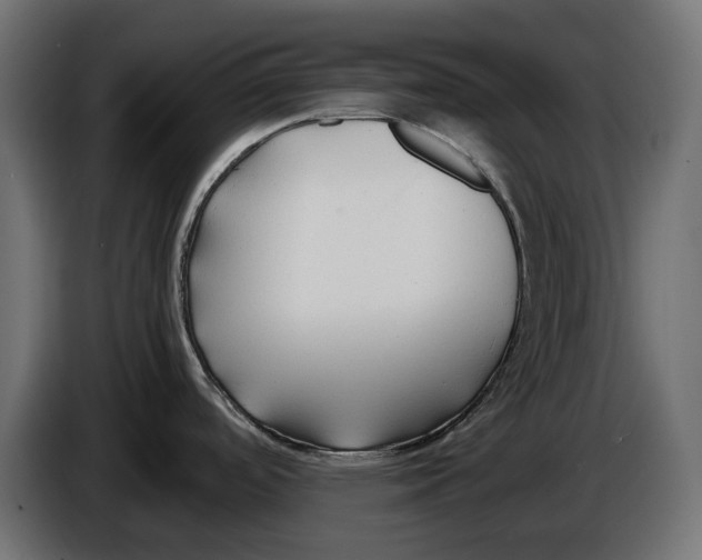 X0000086011488200704131816