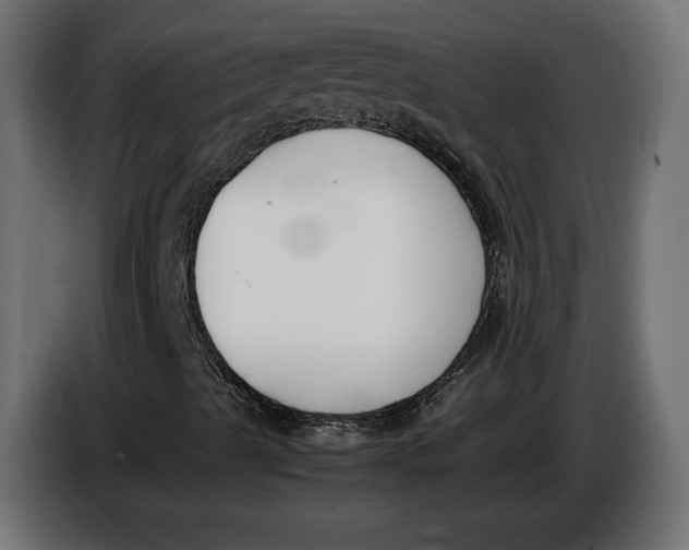 X0000086011489200704131816