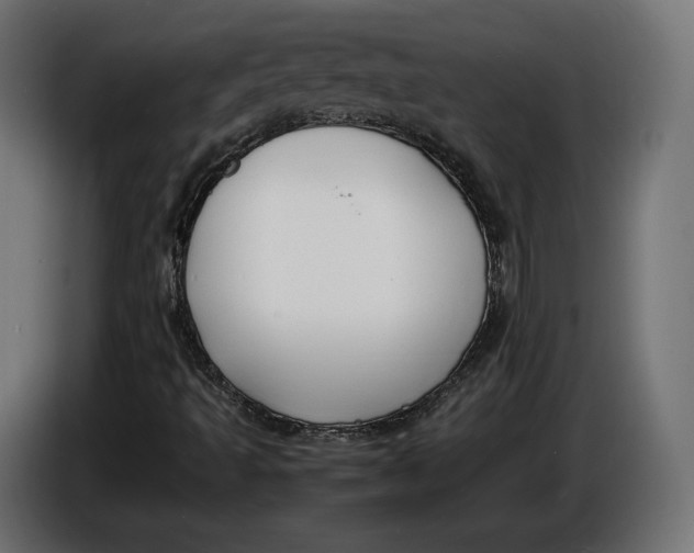 X0000086011493200704131816