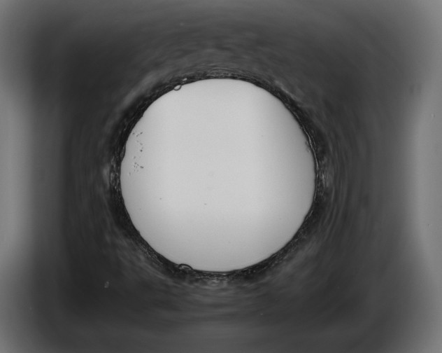 X0000086011495200704131816