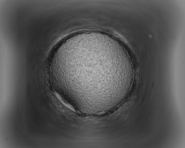X0000086011496200704131816