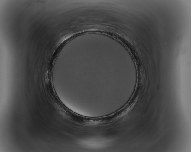 X0000086011497200704131816