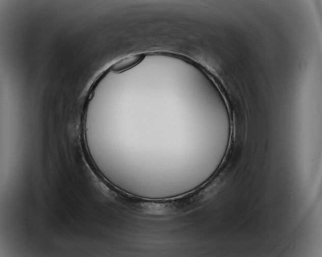 X0000086011500200704131816
