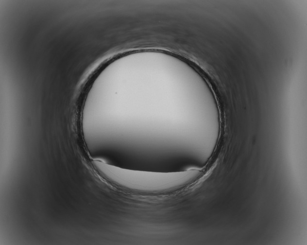 X0000086011502200704131816