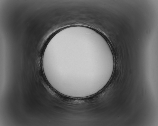 X0000086011503200704131816
