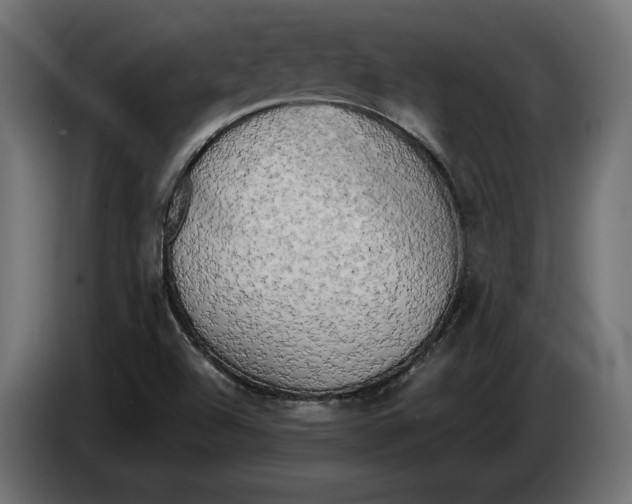 X0000086011504200704131816