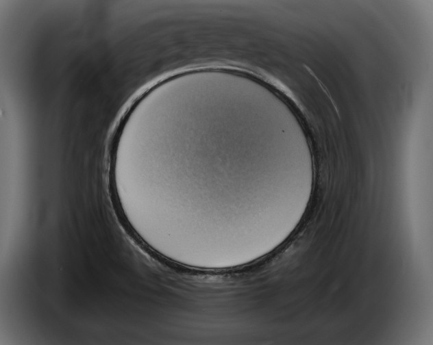 X0000086011508200704131816