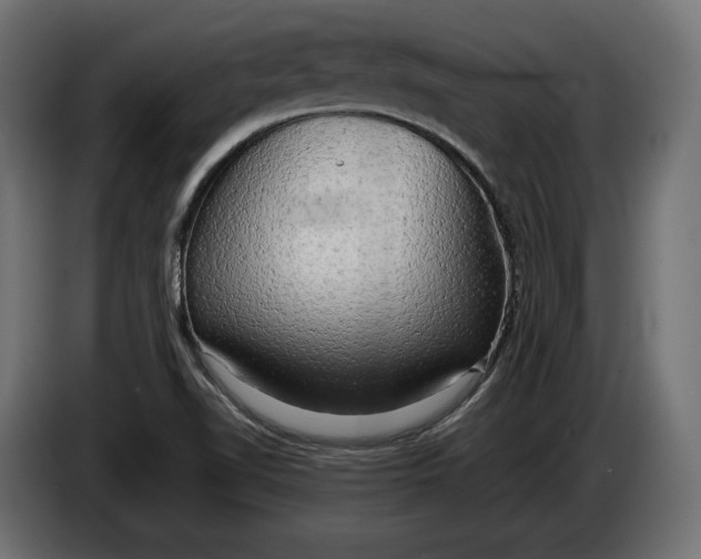 X0000086011510200704131816