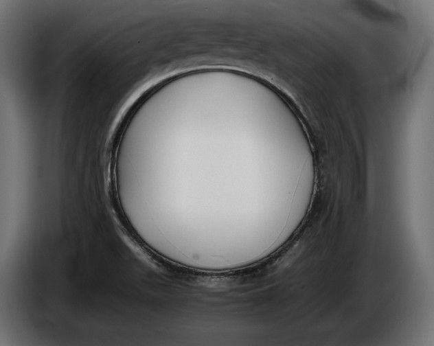 X0000086011511200704131816