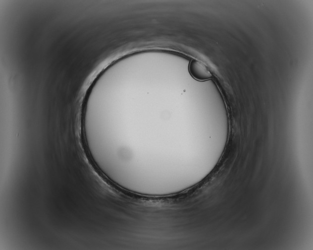 X0000086011512200704131816