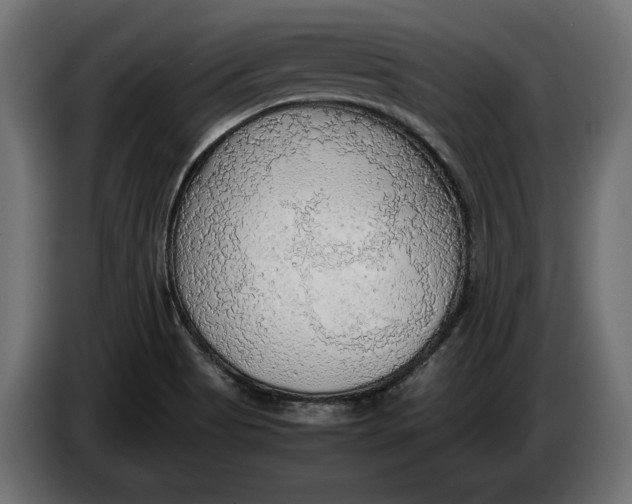 X0000086011513200704131816