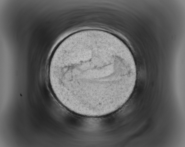 X0000086011514200704131816