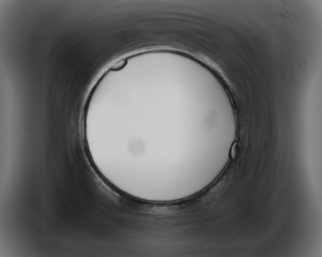 X0000086011516200704131816