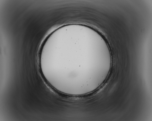 X0000086011517200704131816