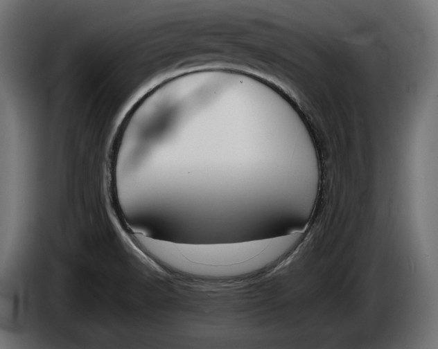 X0000086011518200704131816