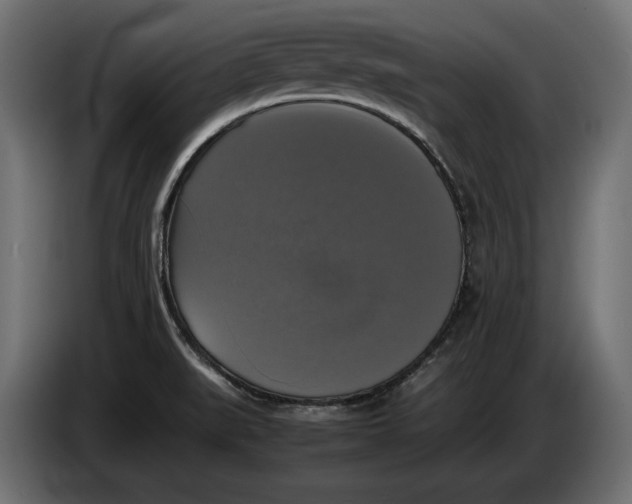 X0000086011519200704131816