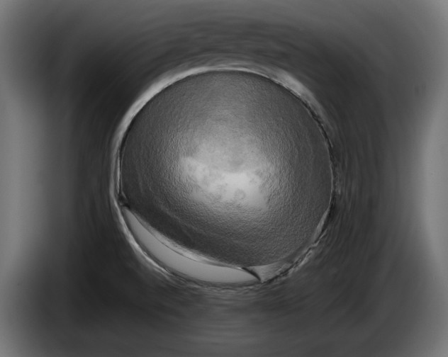 X0000086011520200704131816