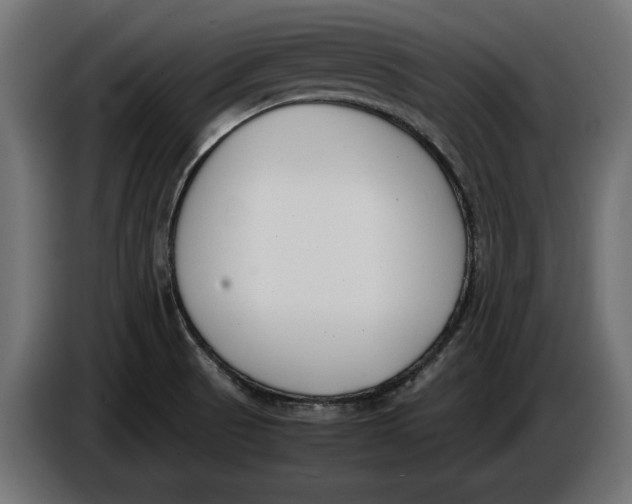 X0000086011521200704131816
