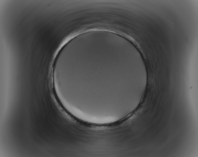 X0000086011522200704131816