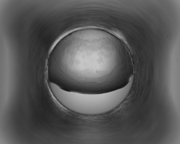 X0000086011524200704131816