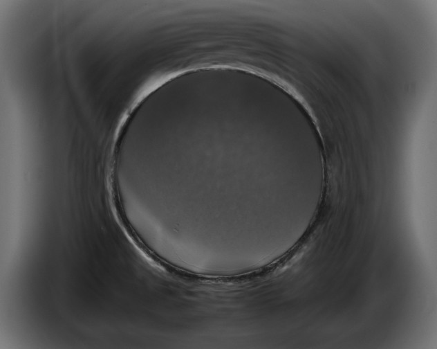 X0000086011525200704131816