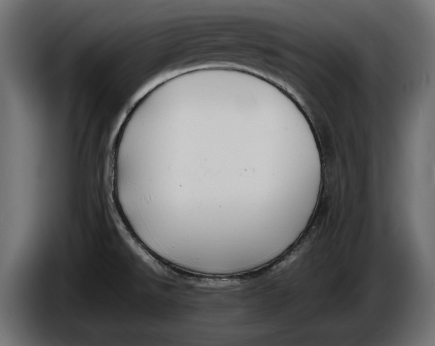 X0000086011526200704131816