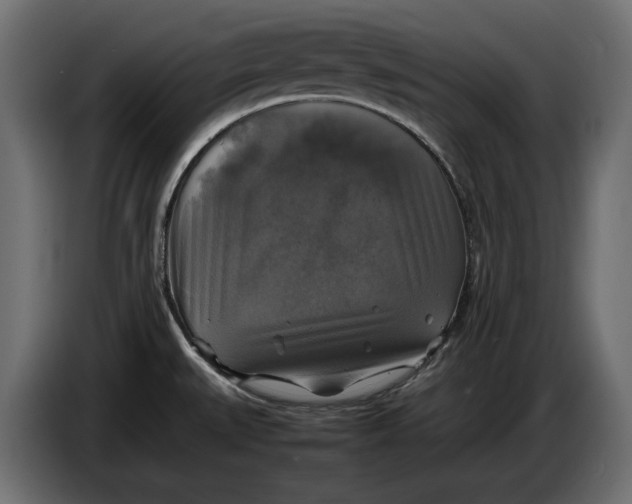 X0000086011527200704131816