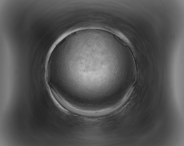 X0000086011528200704131816