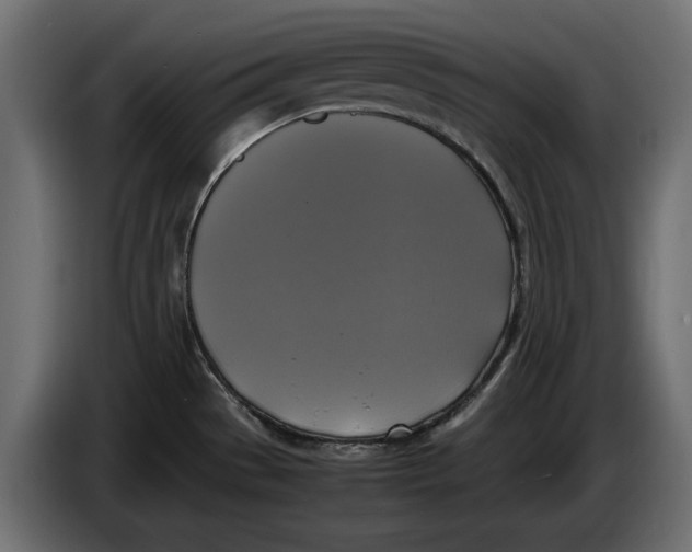 X0000086011529200704131816