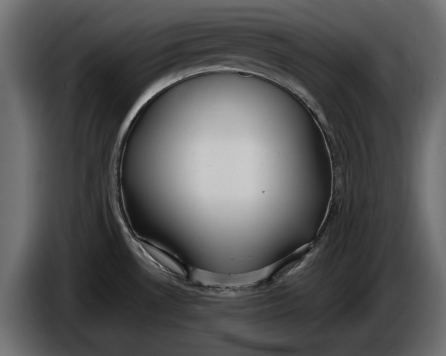X0000086011530200704131816