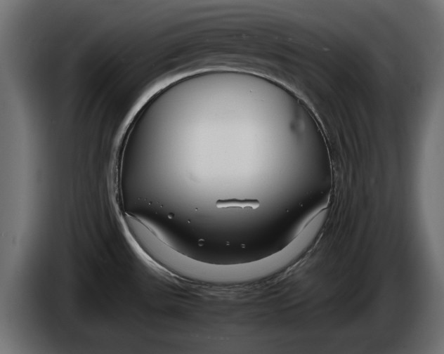 X0000086011531200704131816