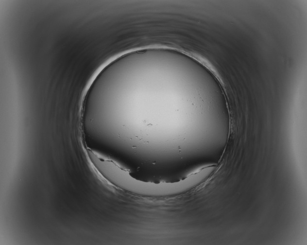 X0000086011532200704131816