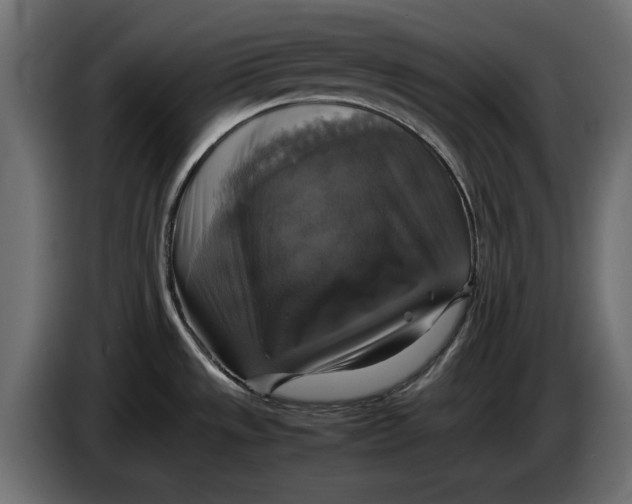 X0000086011533200704131816