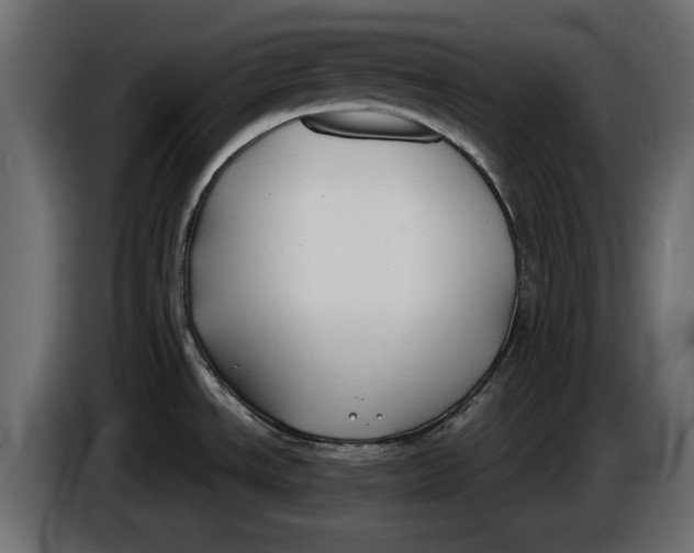 X0000086011534200704131816