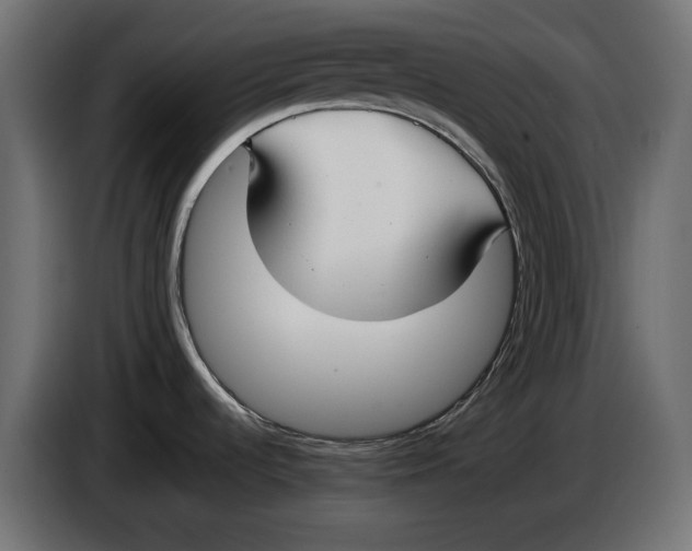 X0000086011536200704131816