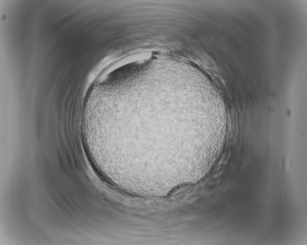 X0000086010003200704201908
