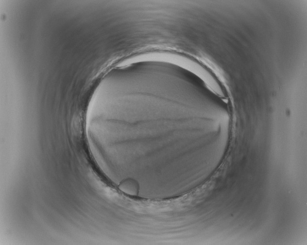 X0000086010009200704201908